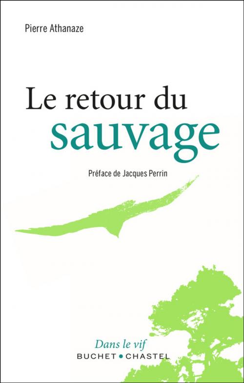 Cover of the book Le retour du sauvage by Pierre Athanaze, Buchet/Chastel