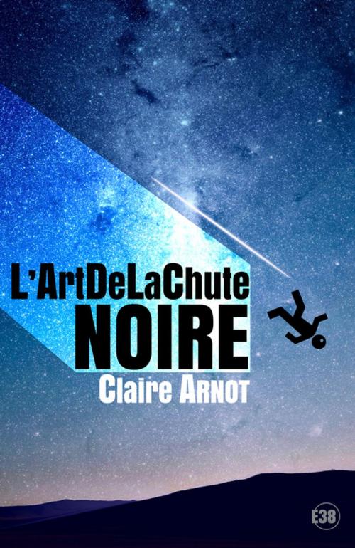 Cover of the book L'ArtDeLaChute Noire by Claire Arnot, Les éditions du 38
