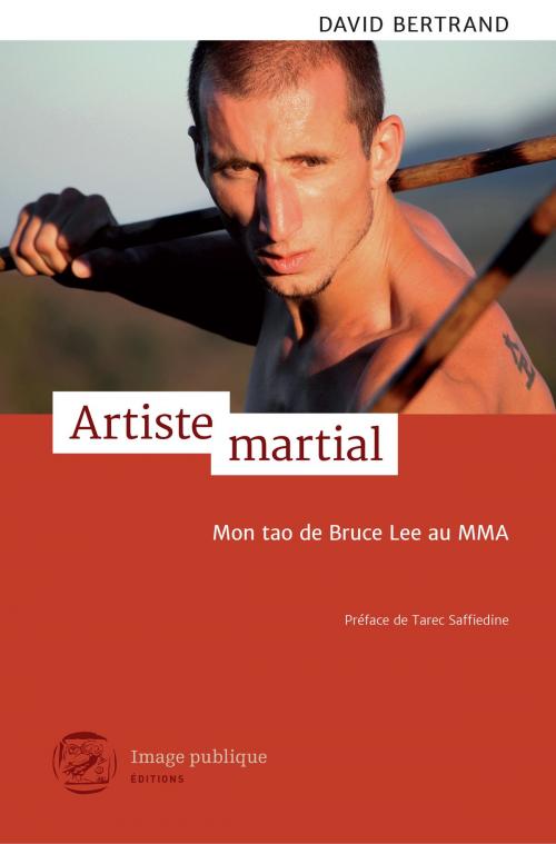 Cover of the book Artiste martial by David Bertrand, Image Publique Éditions