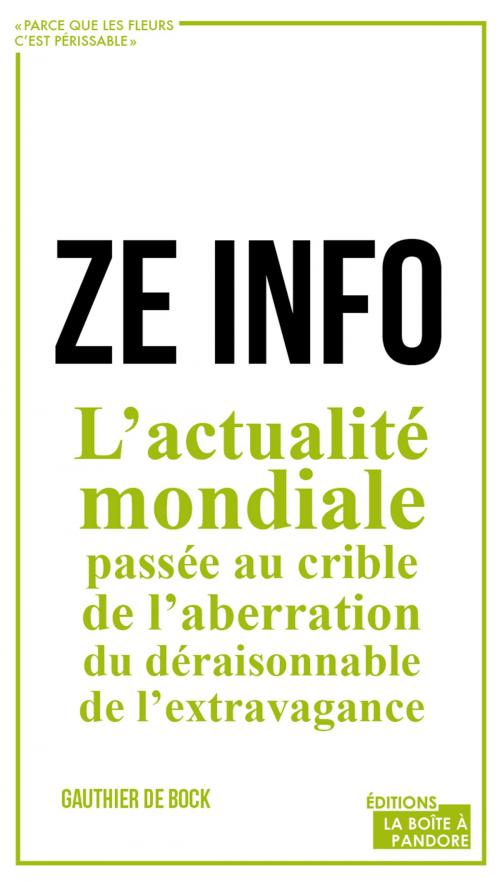 Cover of the book ZE info by Gauthier De Bock, La Boîte à Pandore
