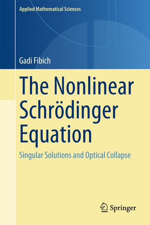 Cover of the book The Nonlinear Schrödinger Equation by Gadi Fibich, Springer International Publishing