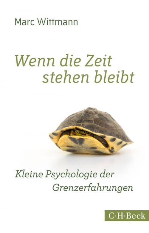 Cover of the book Wenn die Zeit stehen bleibt by Marc Wittmann, C.H.Beck