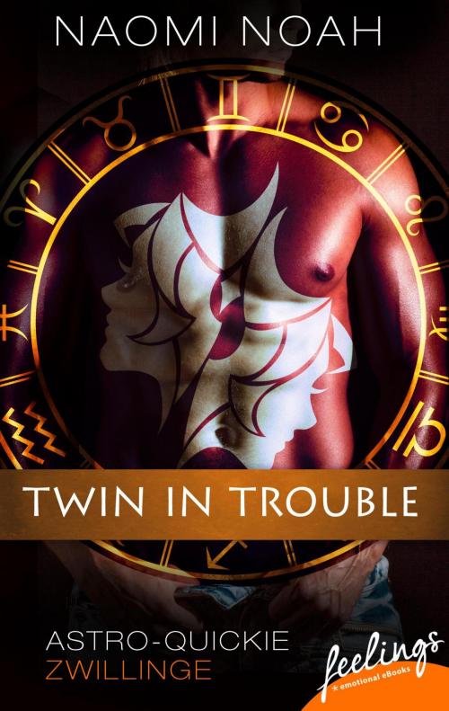 Cover of the book Twin in Trouble by Naomi Noah, Feelings
