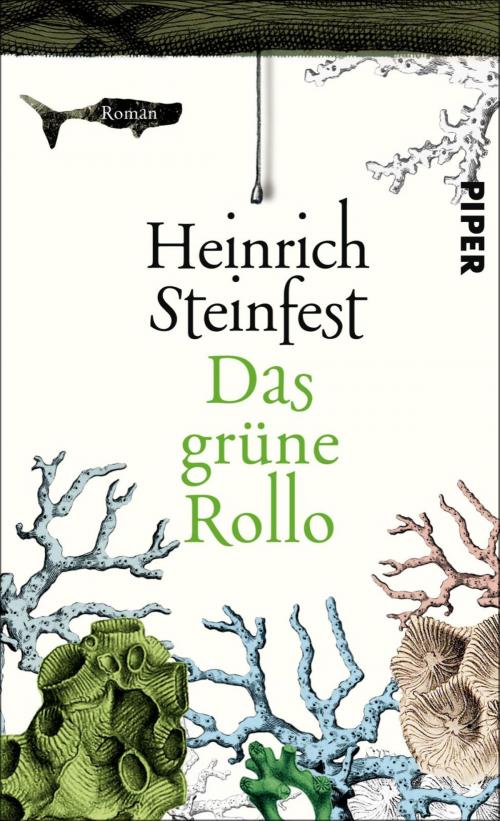 Cover of the book Das grüne Rollo by Heinrich Steinfest, Piper ebooks