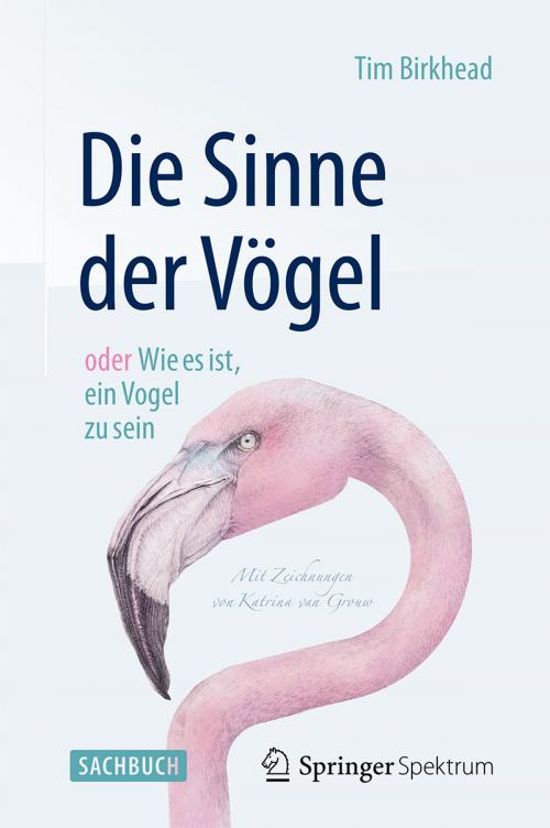 Cover of the book Die Sinne der Vögel oder Wie es ist, ein Vogel zu sein by Tim Birkhead, Springer Berlin Heidelberg