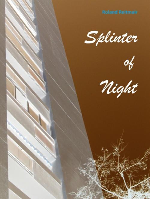 Cover of the book splinter of night by Roland Reitmair, BookRix