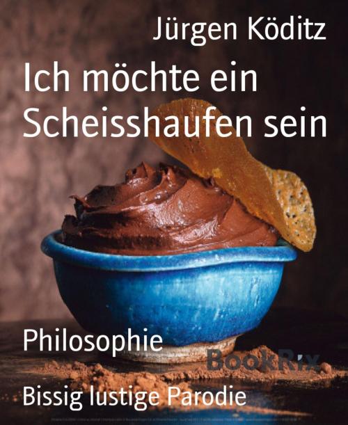 Cover of the book Ich möchte ein Scheisshaufen sein by Jürgen Köditz, BookRix