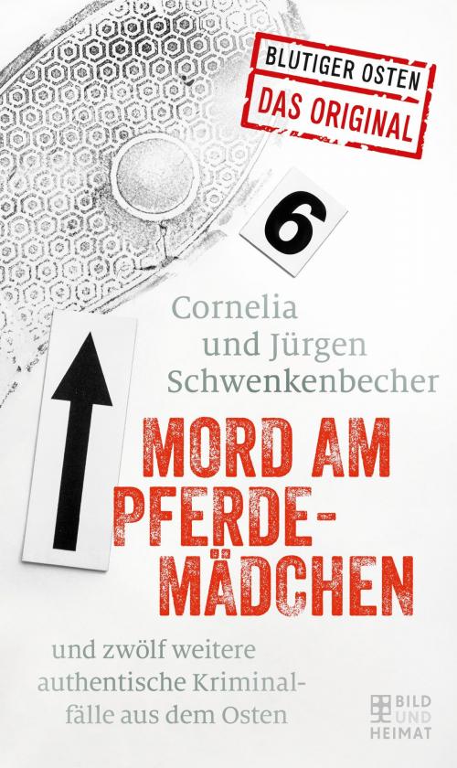 Cover of the book Mord am Pferdemädchen by Cornelia Schwenkenbecher, Jürgen Schwenkenbecher, Bild und Heimat