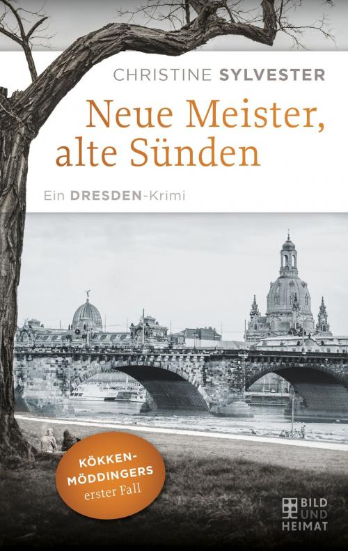 Cover of the book Neue Meister, alte Sünden by Christine Sylvester, Bild und Heimat
