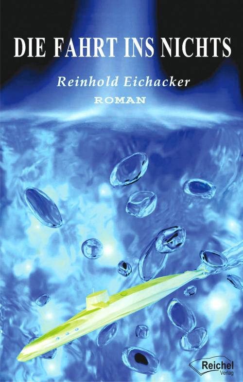 Cover of the book Die Fahrt ins Nichts by Reinhold Eichacker, Michael Gallmeister, Sandra Schlee, Reichel Verlag