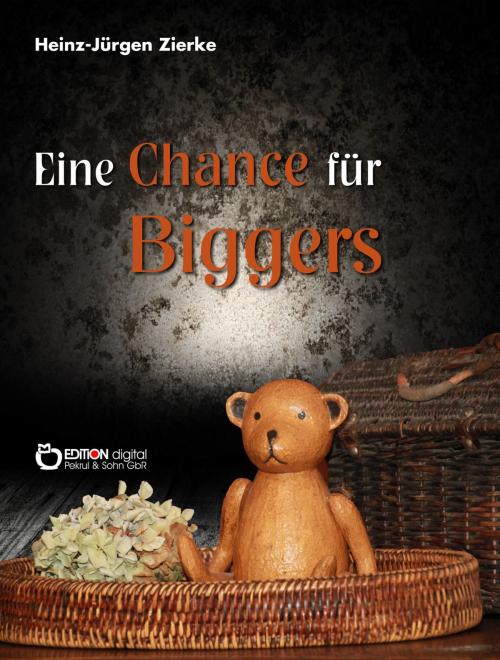 Cover of the book Eine Chance für Biggers by Heinz-Jürgen Zierke, EDITION digital