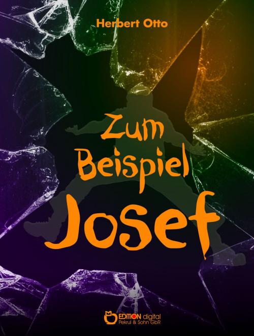 Cover of the book Zum Beispiel Josef by Herbert Otto, EDITION digital