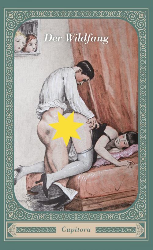 Cover of the book Der Wildfang und fünf andere versaute Geschichten by Anonym, Cupitora