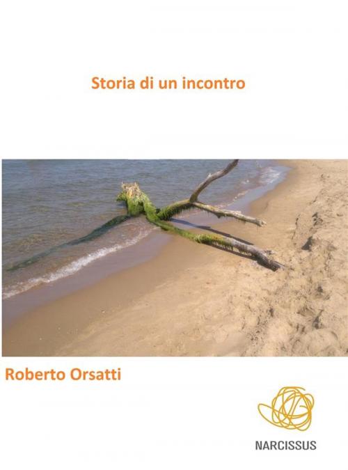 Cover of the book Storia di un incontro by Roberto Orsatti, Roberto Orsatti