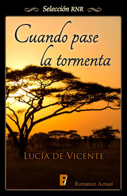 Cover of the book Cuando pase la tormenta by Lucía de Vicente, Penguin Random House Grupo Editorial España