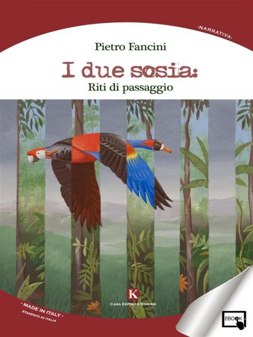 Cover of the book I due sosia: riti di passaggio by Pietro Fancini, Kimerik
