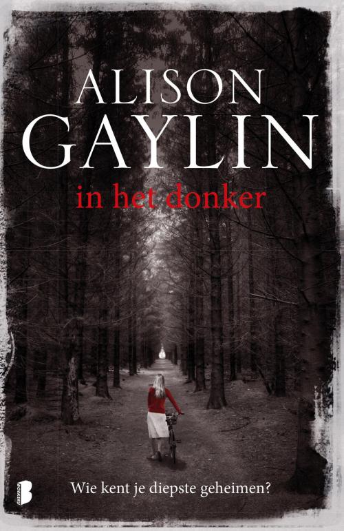 Cover of the book In het donker by Alison Gaylin, Meulenhoff Boekerij B.V.