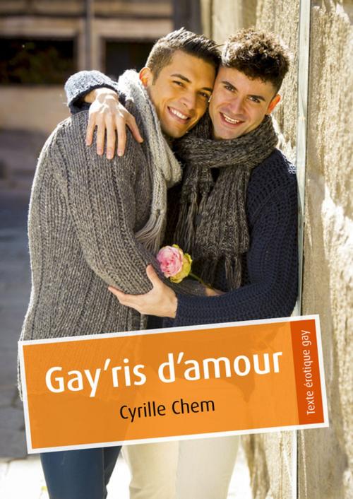 Cover of the book Gay'ris d'amour by Cyrille Chem, Éditions Textes Gais