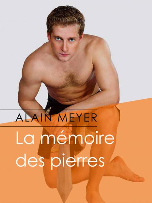 Cover of the book La mémoire des pierres by Alain Meyer, Éditions Textes Gais