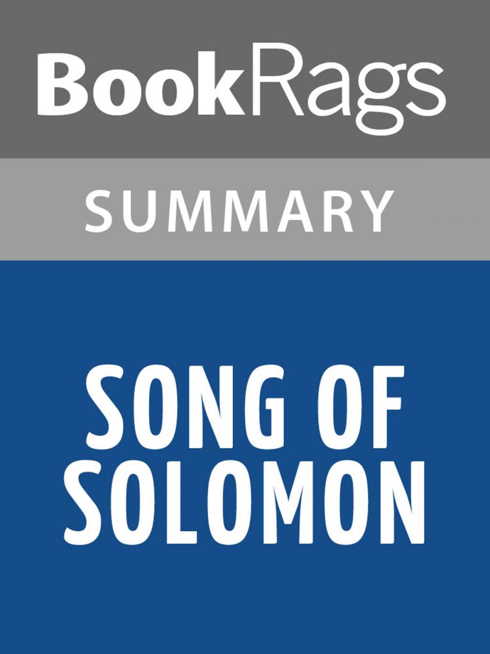 Big bigCover of Song of Solomon by Toni Morrison Summary & Study Guide