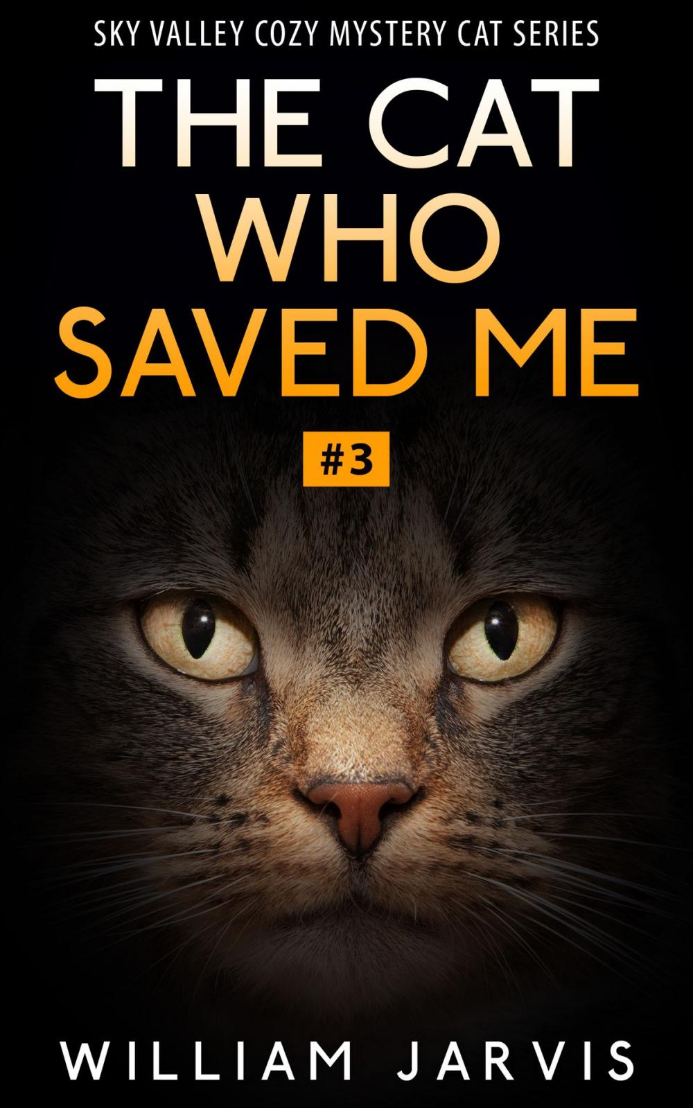 Big bigCover of The Cat Who Saved Me #3 (Sky Valley Cozy Mystery Cat Series)