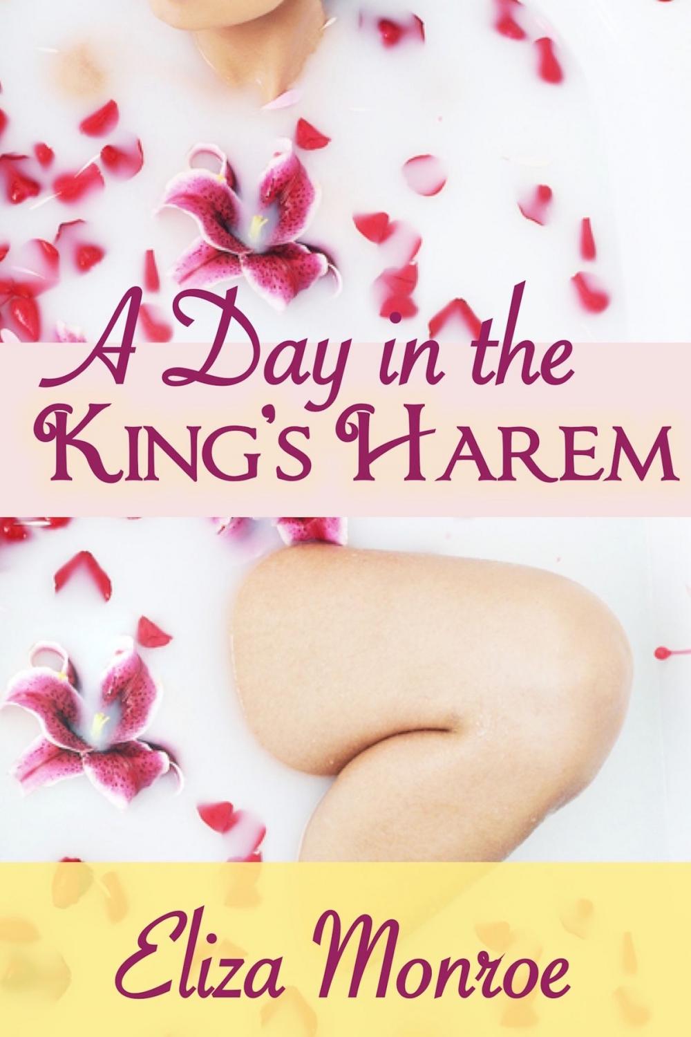 Big bigCover of A Day in the King's Harem