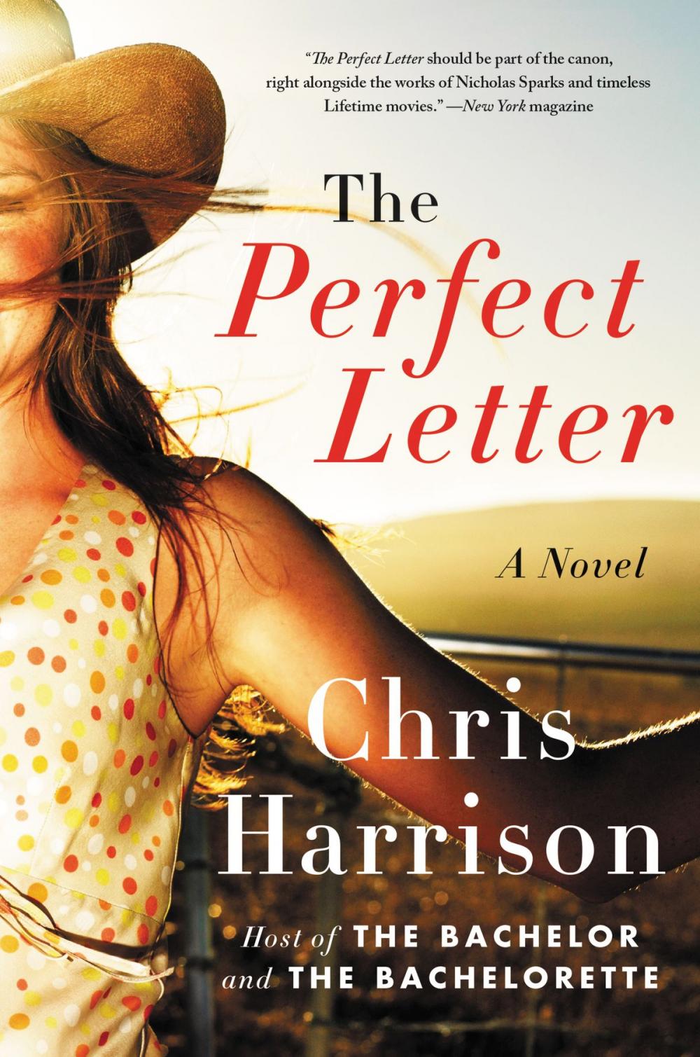 Big bigCover of The Perfect Letter