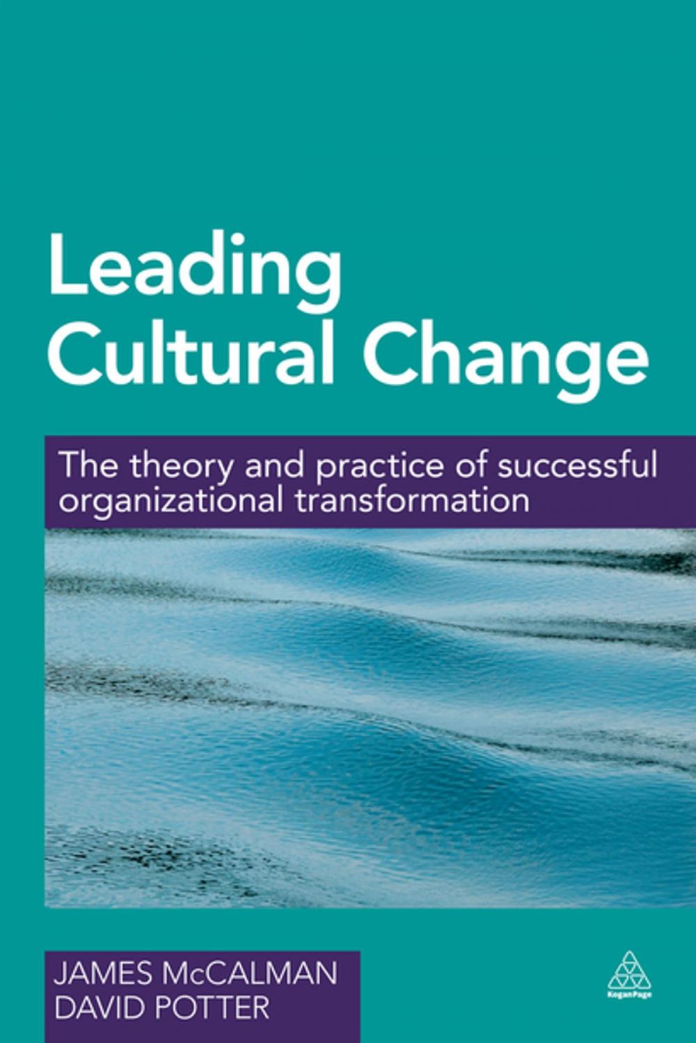 Big bigCover of Leading Cultural Change