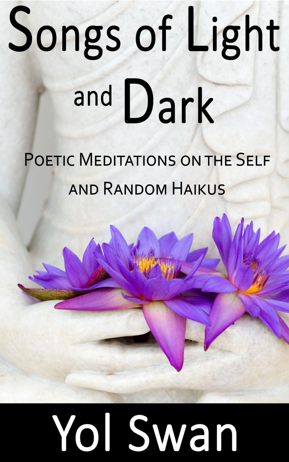 Big bigCover of Songs of Light and Dark: Poetic Meditations on the Self and Random Haikus