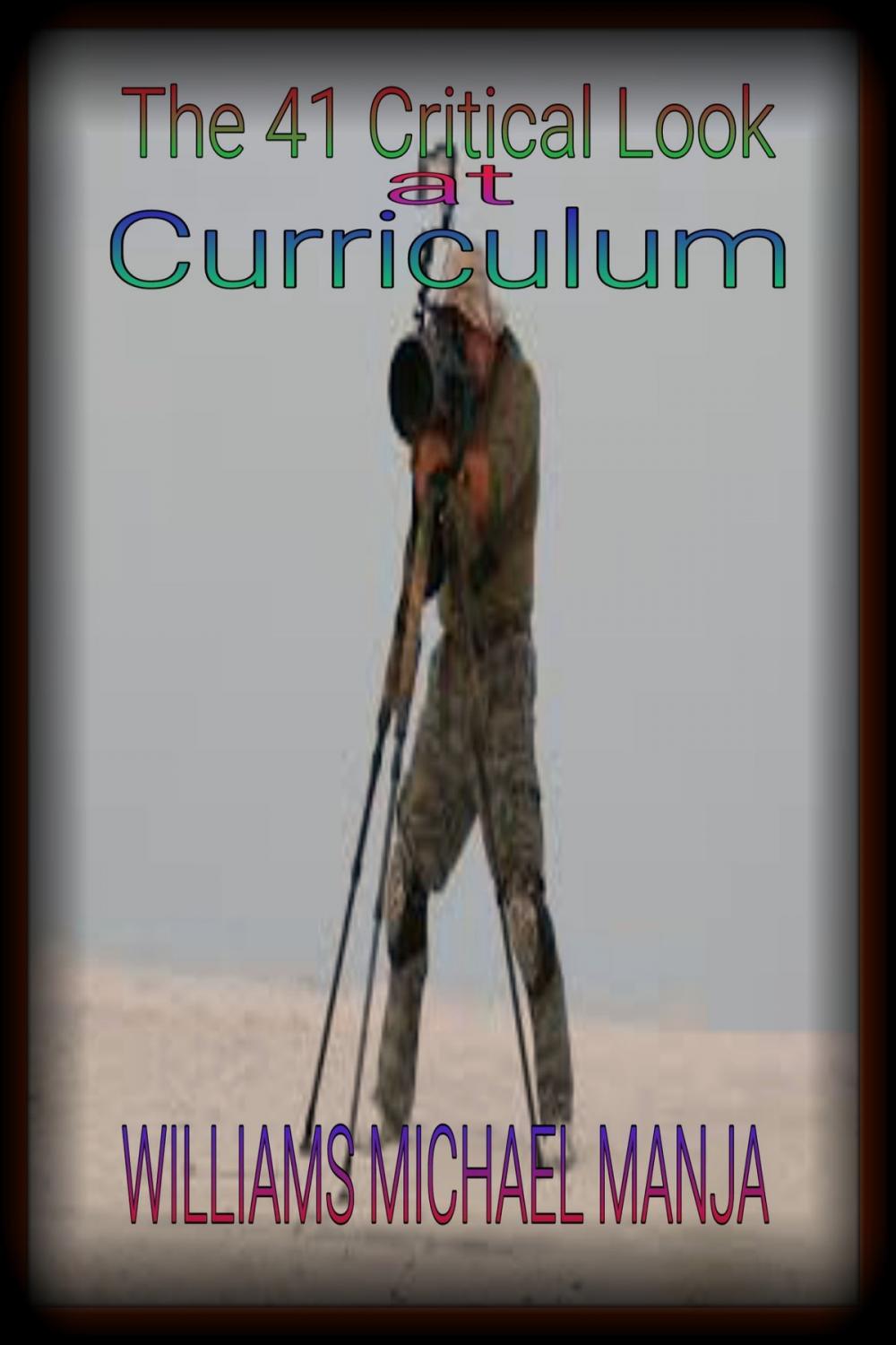 Big bigCover of The 41 Critical Look at Curriculum