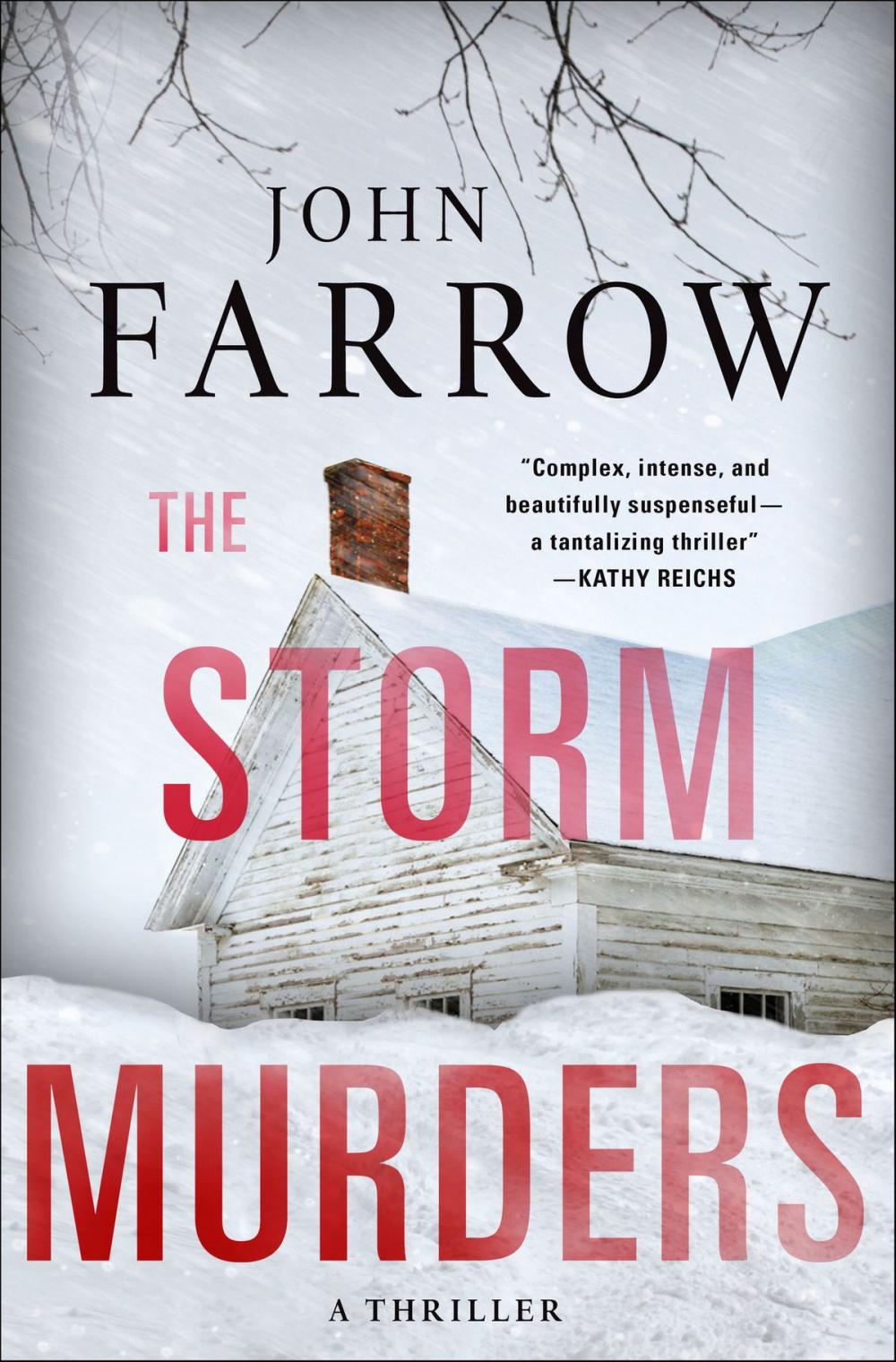 Big bigCover of The Storm Murders