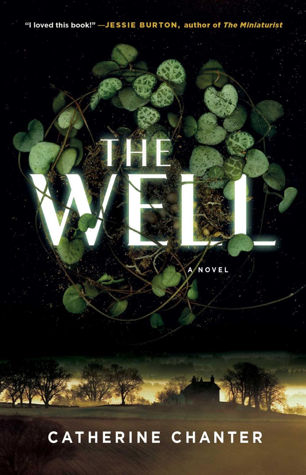 Big bigCover of The Well