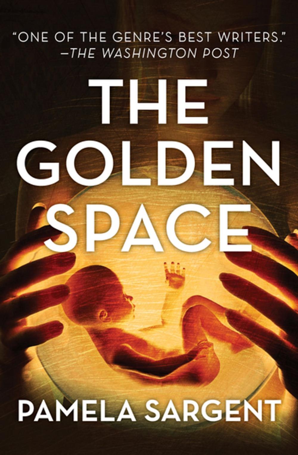 Big bigCover of The Golden Space