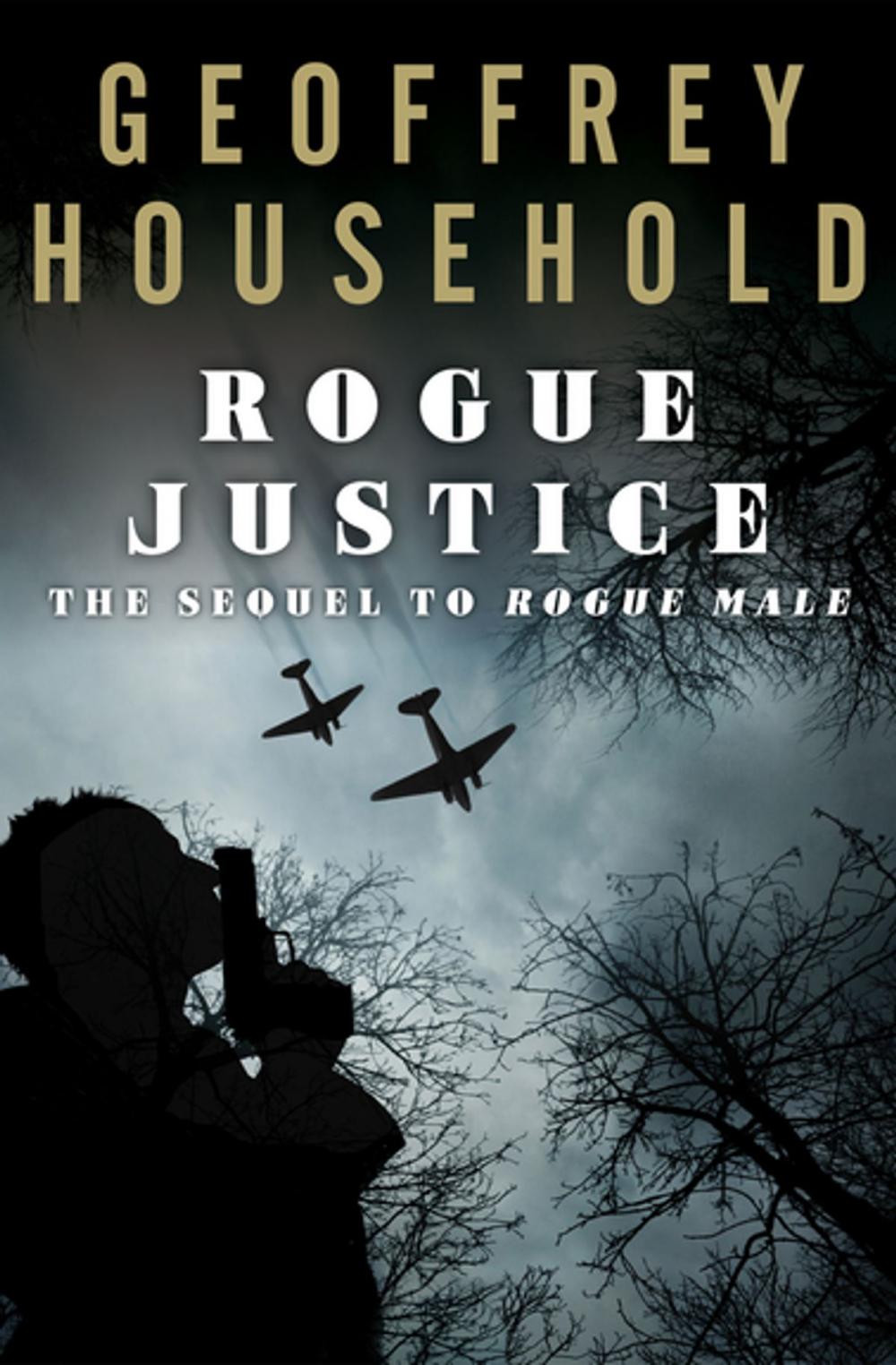 Big bigCover of Rogue Justice