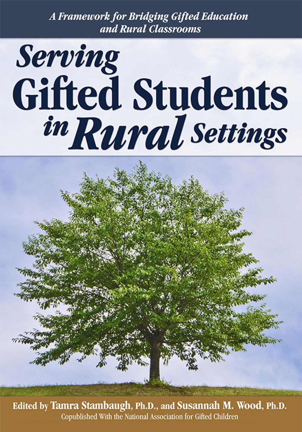Big bigCover of Serving Gifted Students in Rural Settings