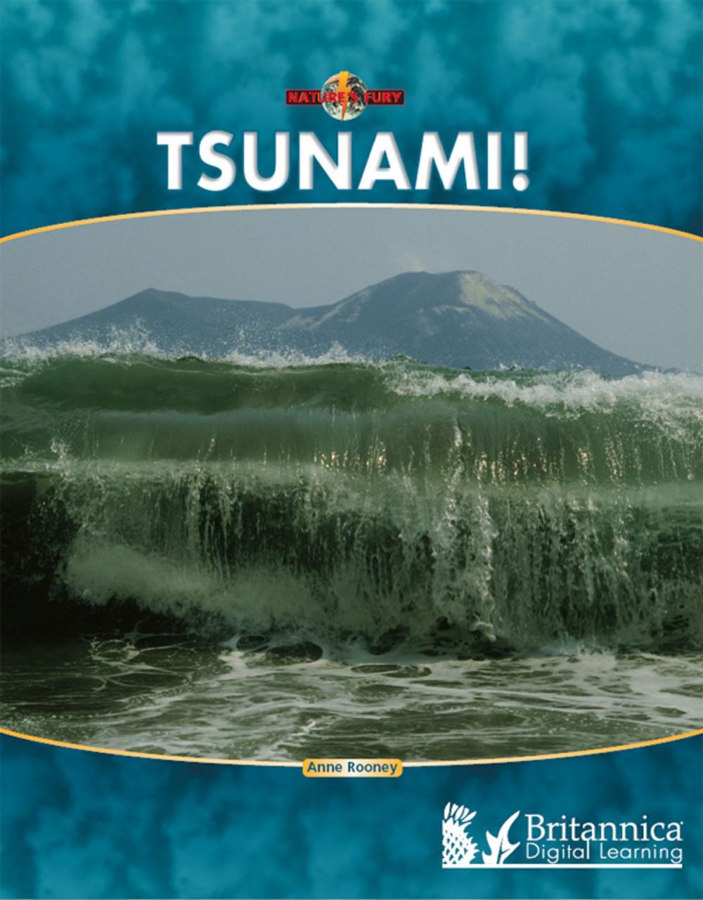 Big bigCover of Tsunami!