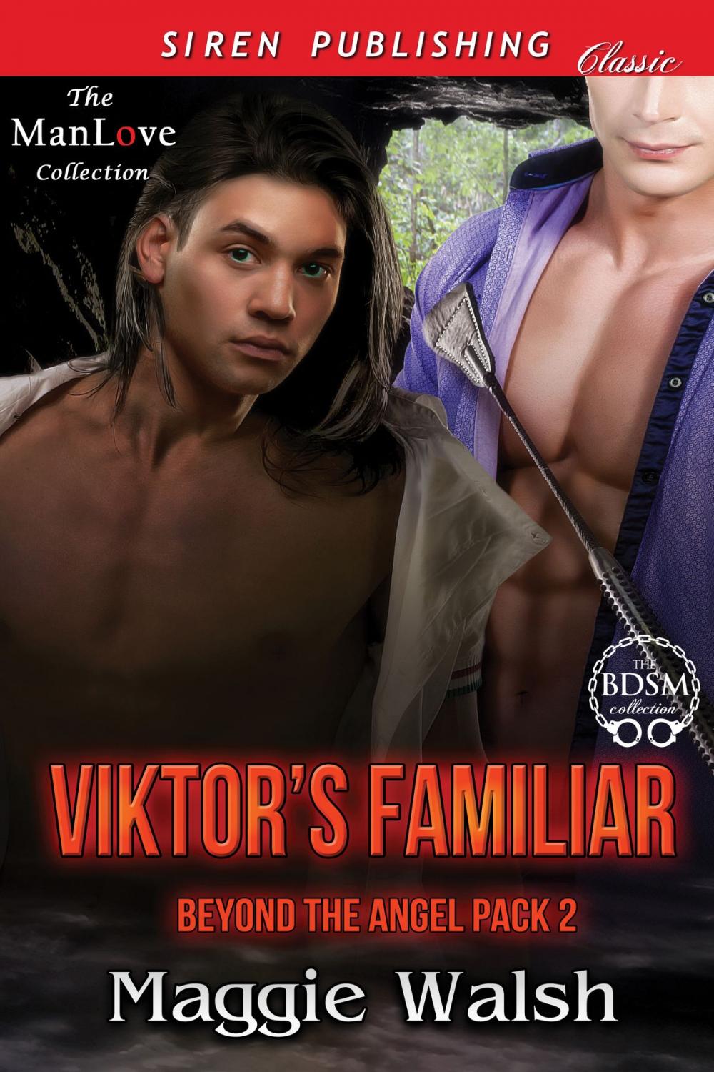 Big bigCover of Viktor's Familiar