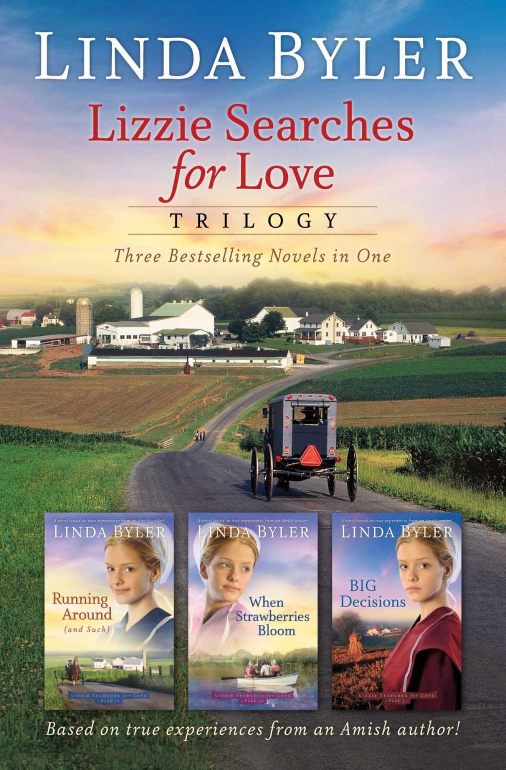 Big bigCover of Lizzie Searches for Love Trilogy
