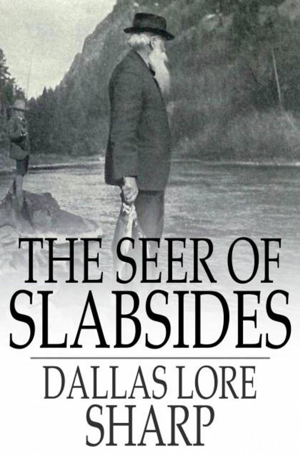 Big bigCover of The Seer of Slabsides
