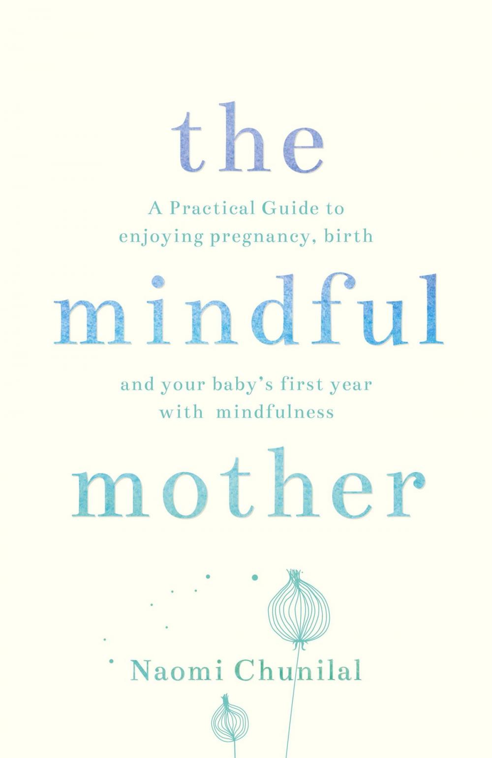 Big bigCover of The Mindful Mother