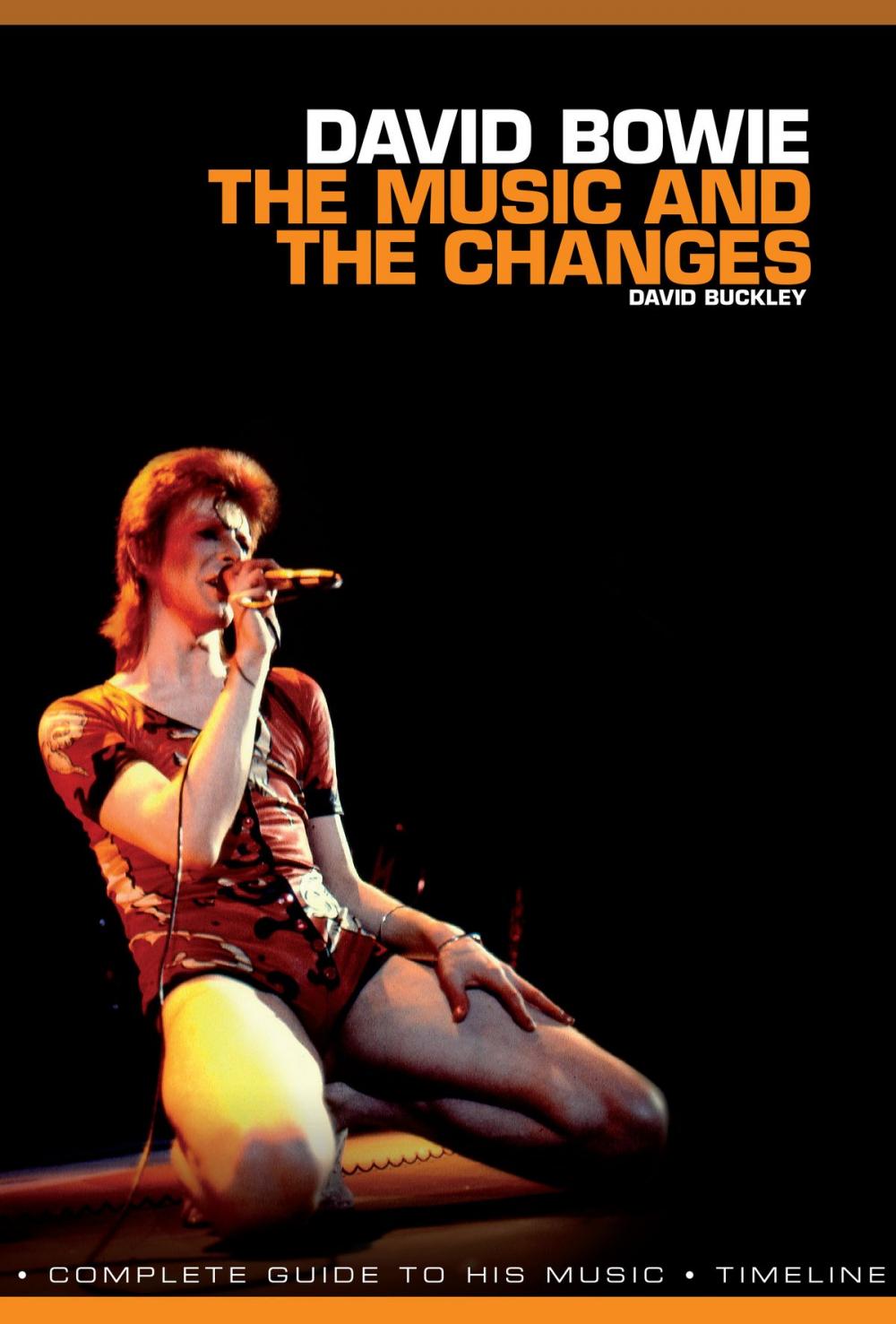 Big bigCover of David Bowie: The Music and The Changes