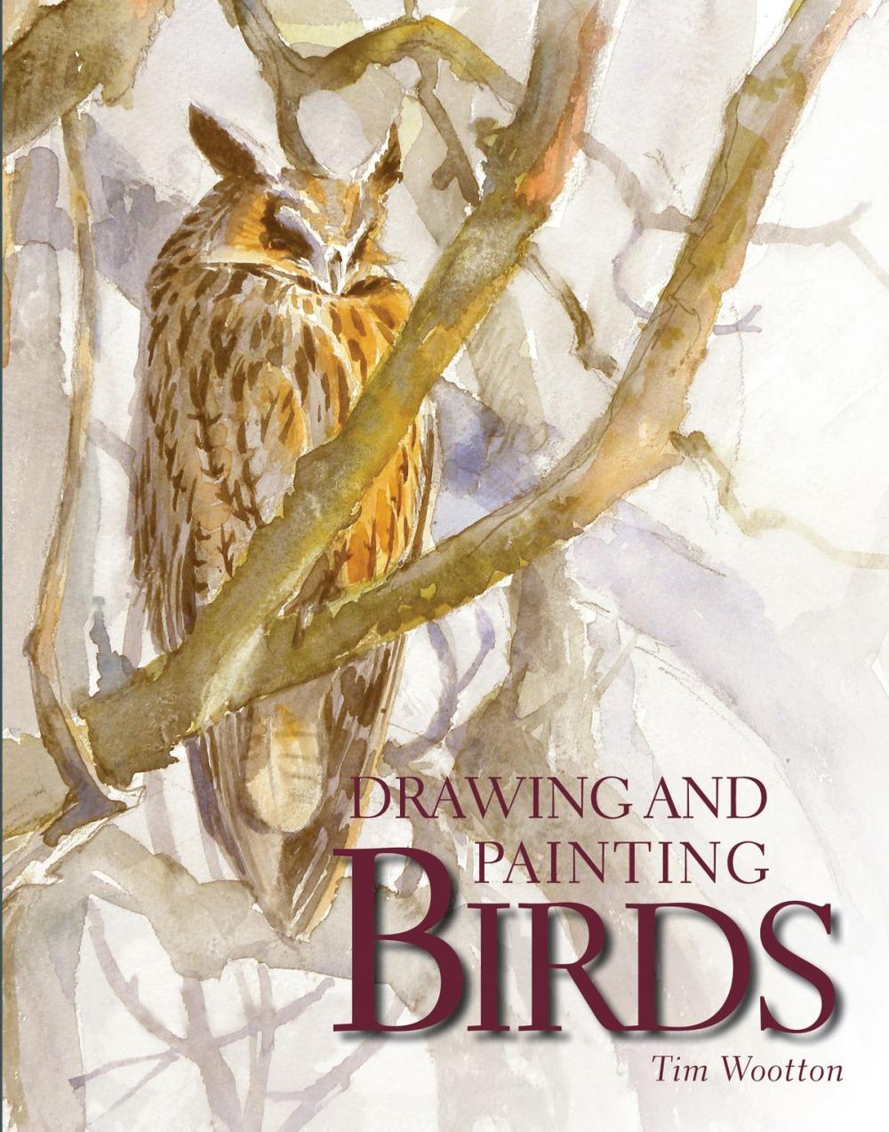 Big bigCover of Drawing and Painting Birds