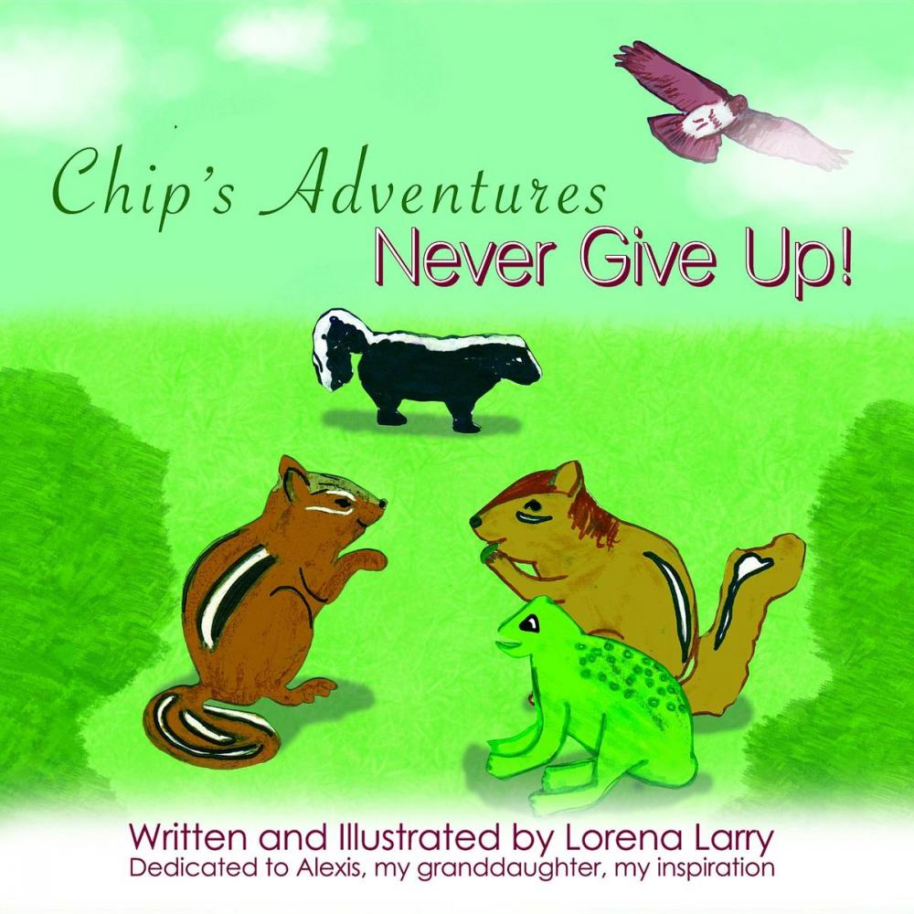 Big bigCover of Chip's Adventures Never Give Up!
