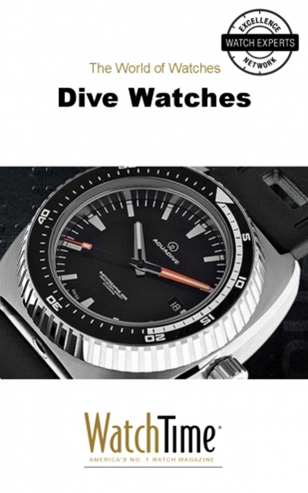 Big bigCover of Dive Watches