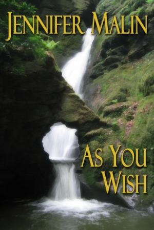 Cover of the book As You Wish by Andrzej Sapkowski