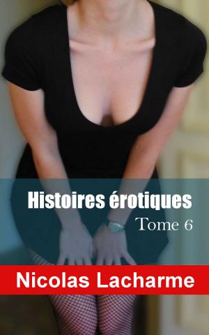 Book cover of Histoires érotiques, tome 6