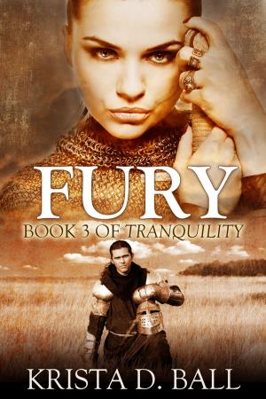 Cover of the book Fury by Melissa E. Beckwith