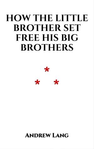Cover of the book How the Little Brother Set Free His Big Brothers by Pablo Jelovina