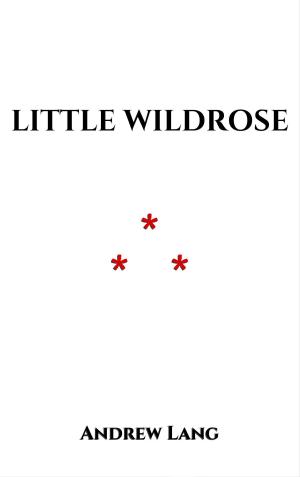 Cover of the book Little Wildrose by Andrew Lang