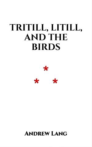 Cover of the book Tritill, Litill, And The Birds by Pauline Edmunds
